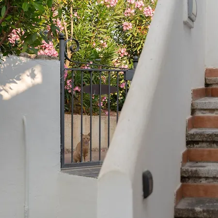 Villa New Vista Blu Alghero