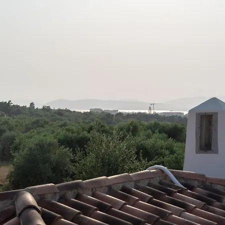 New Vista Blu