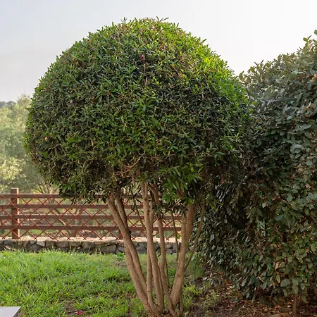 New Vista Blu Villa *